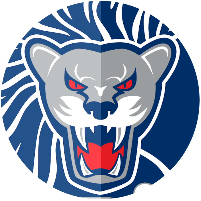 Logo lag