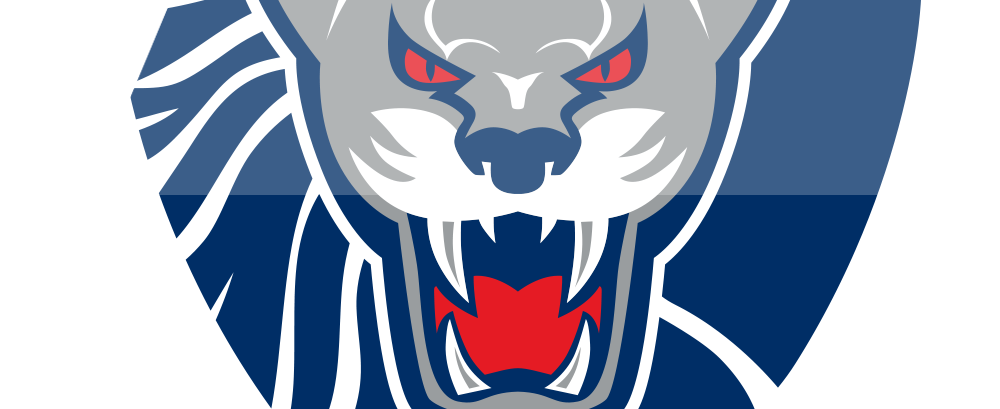 Logo lag