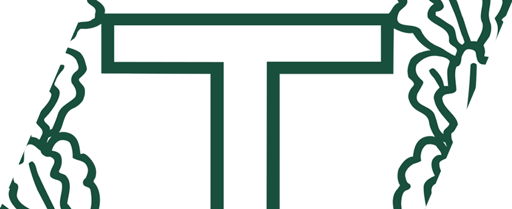 Logo lag