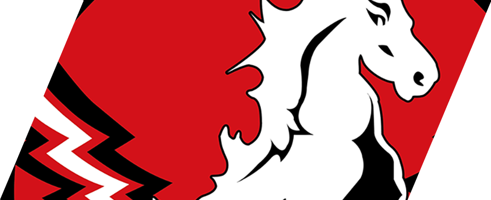 Logotyp lag